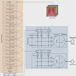 Designing neural networks based on dendritic neuron model